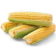 Kukurica lahôdková