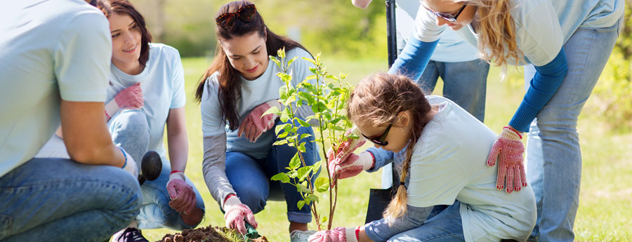 I. ED&Iacute;CIA 2016