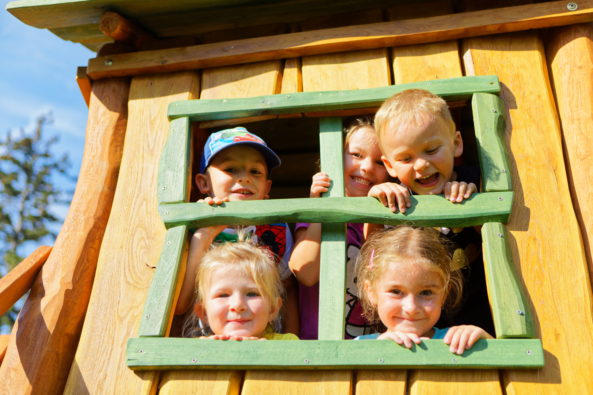 V. ED&Iacute;CIA 2019